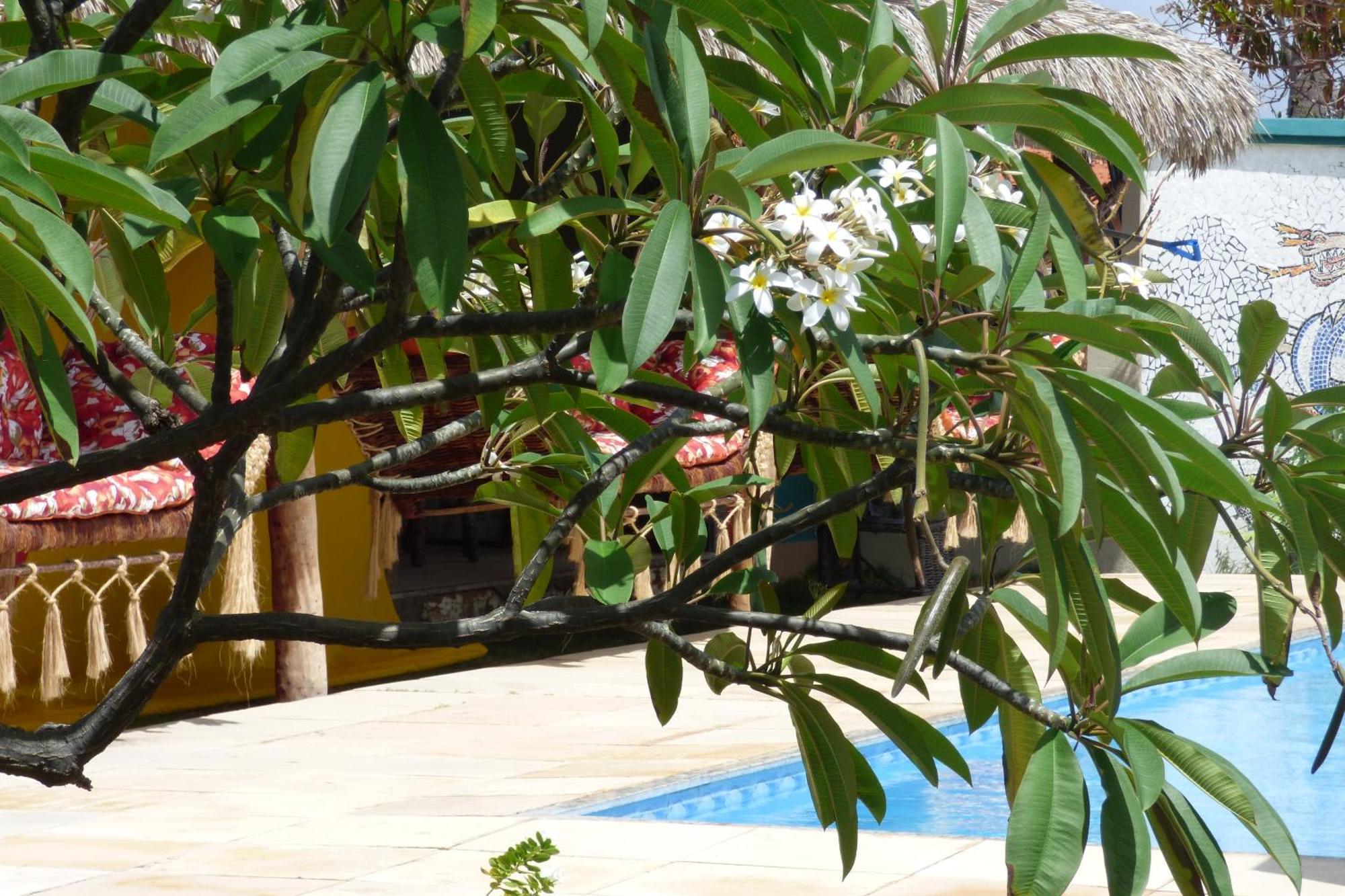 A Toca Do Bem-Te-Vi Hotel Águas Belas Екстериор снимка